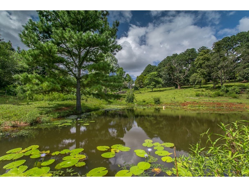 145  Repentance Creek Road, Rosebank NSW 2480