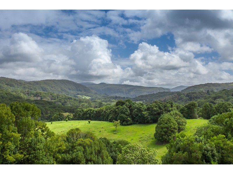 145  Repentance Creek Road, Rosebank NSW 2480