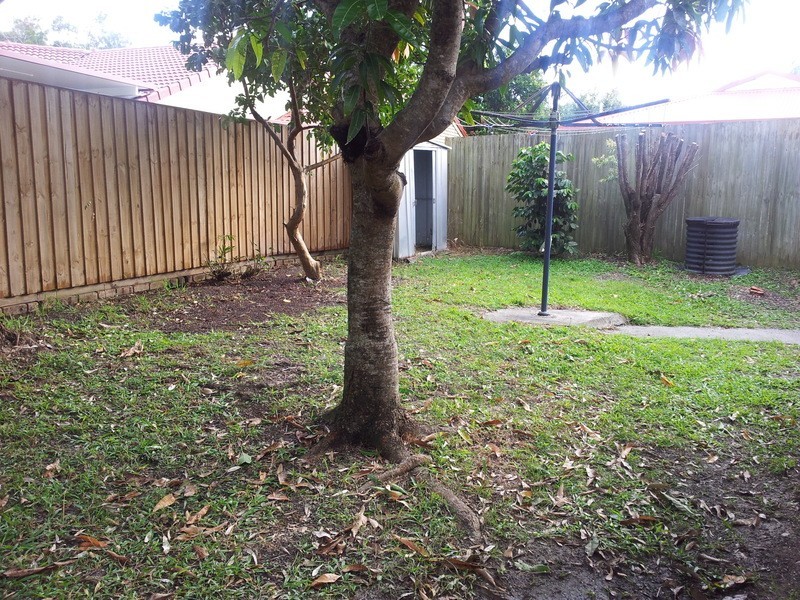 10 Tamarind Court, Suffolk Park NSW 2481