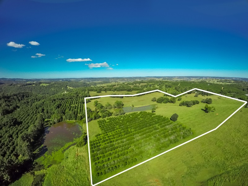500 Duncan Road, Dunoon NSW 2480