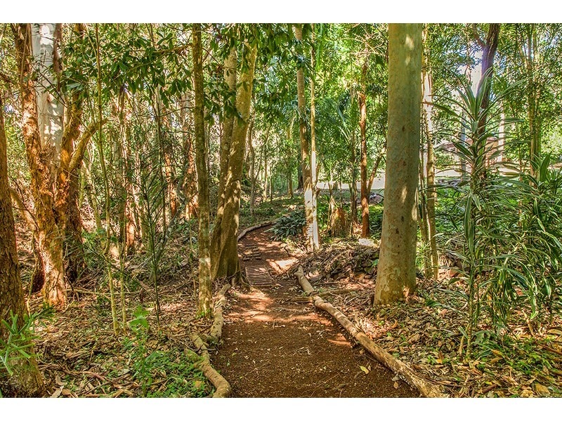 19 Blackbean Lane, Federal NSW 2480