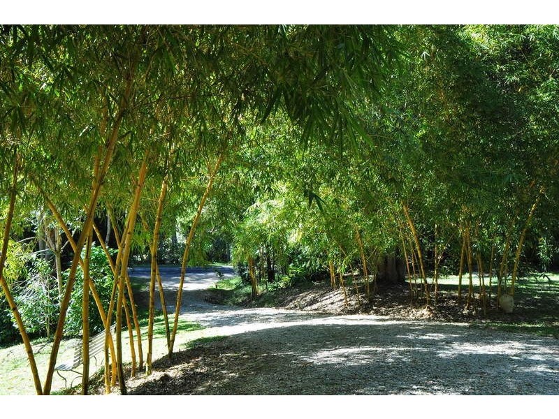 33 Bullgarra Road, Wilsons Creek NSW 2482