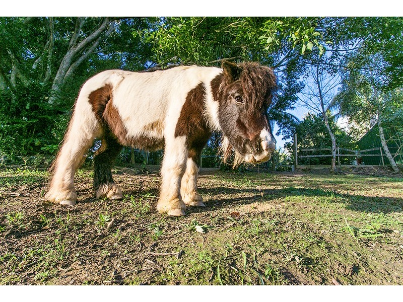 19 Benloro Lane, Myocum NSW 2481