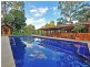 169 Cedar Road, Wilsons Creek NSW 2482