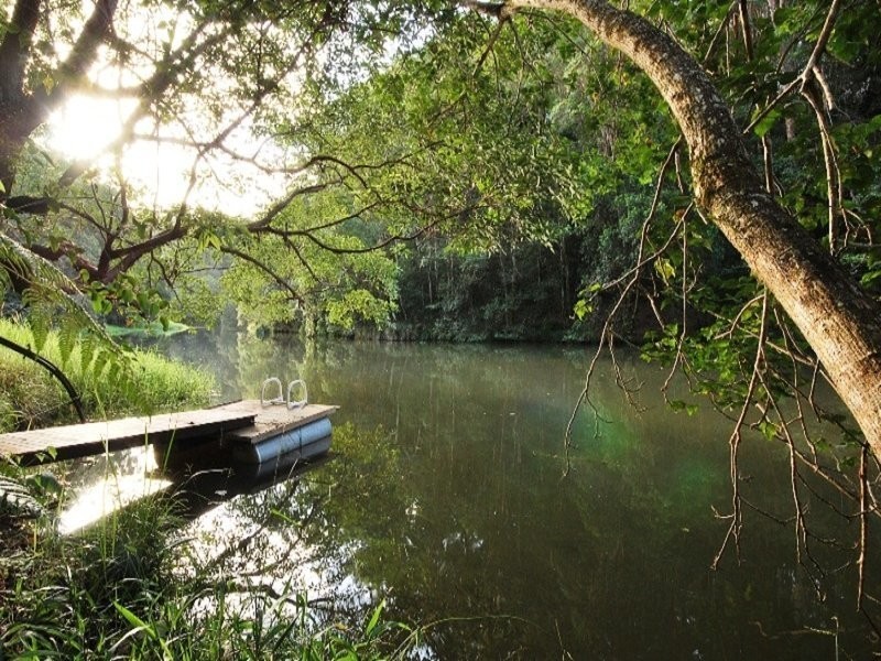 169 Cedar Road, Wilsons Creek NSW 2482