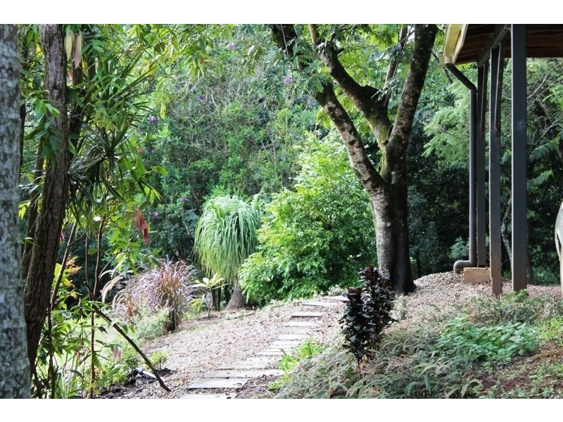 505 Ridgewood Road, Rosebank NSW 2480