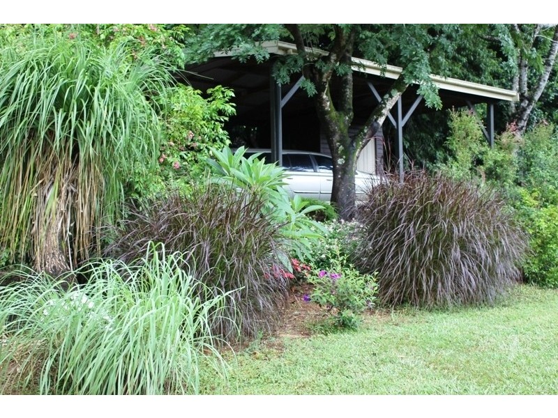 505 Ridgewood Road, Rosebank NSW 2480