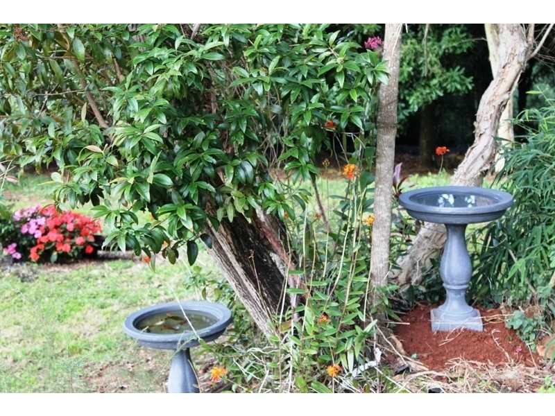 505 Ridgewood Road, Rosebank NSW 2480