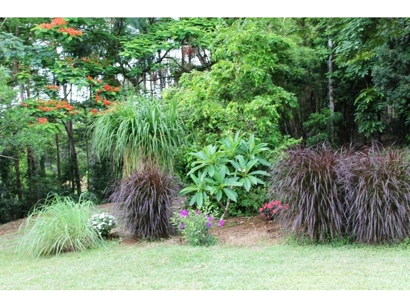 505 Ridgewood Road, Rosebank NSW 2480