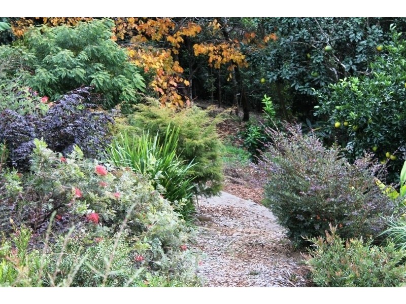 505 Ridgewood Road, Rosebank NSW 2480