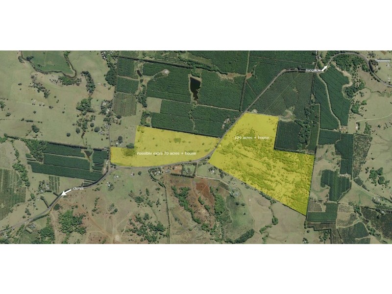 1067 Lismore Road, Nashua NSW 2479