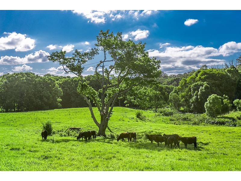 28A  Coolamon Scenic Drive, Mullumbimby NSW 2482