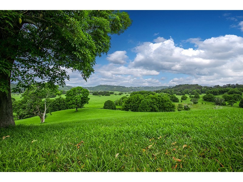 Lot 2 Figtree Lane, Myocum NSW 2481
