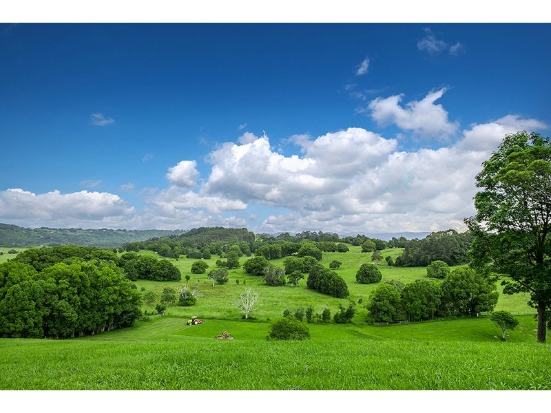 Lot 2 Figtree Lane, Myocum NSW 2481
