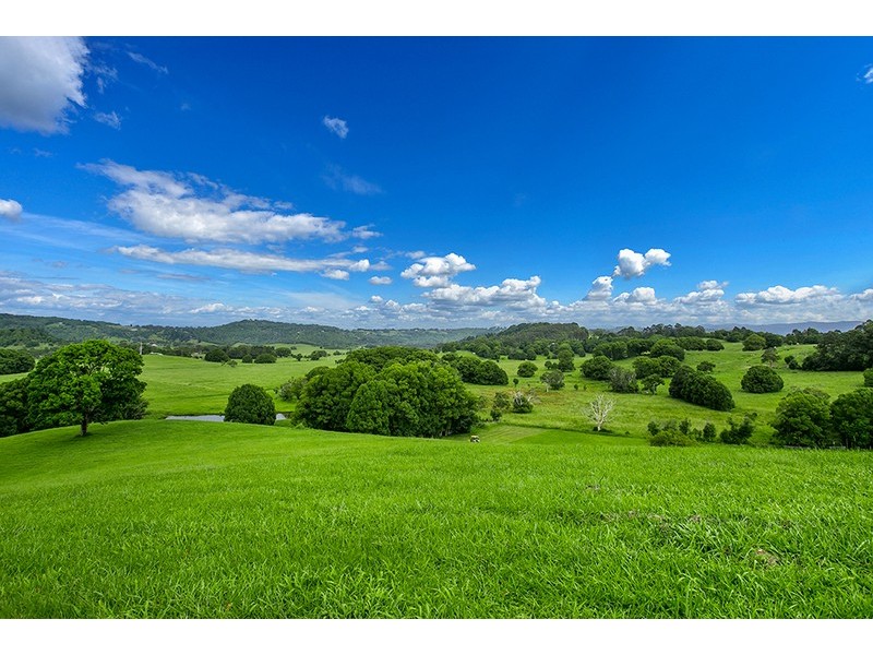 Lot 2 Figtree Lane, Myocum NSW 2481