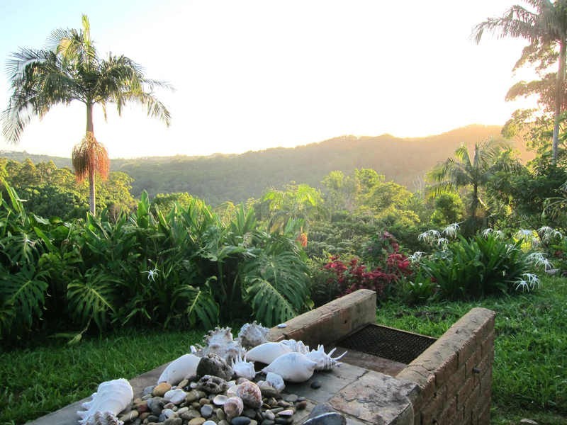 15 Minyon Falls Road, Repentance Creek NSW 2480