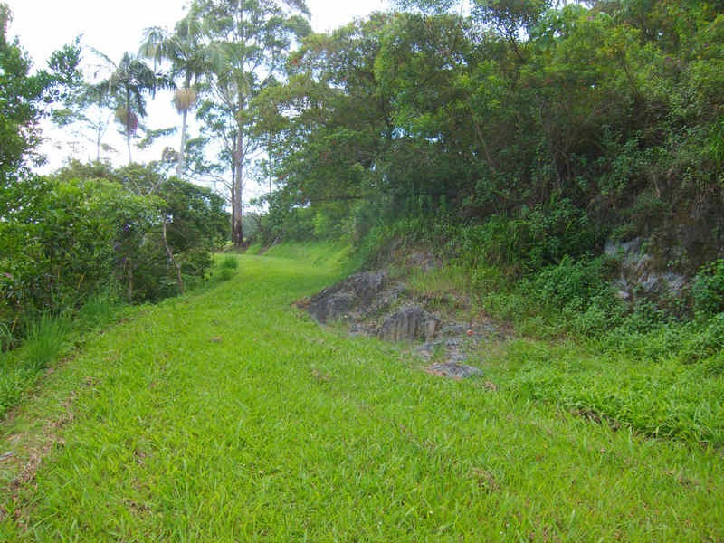 15 Minyon Falls Road, Repentance Creek NSW 2480