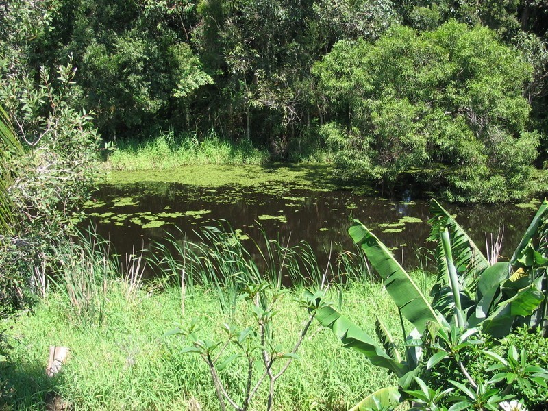 4/11 Korau Place, Suffolk Park NSW 2481