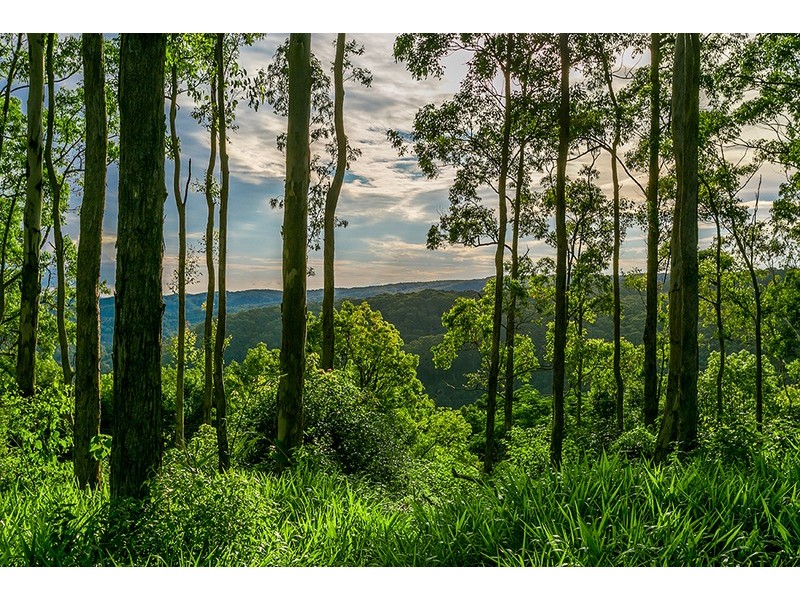 14 Goonengerry Mill Road, Goonengerry NSW 2482