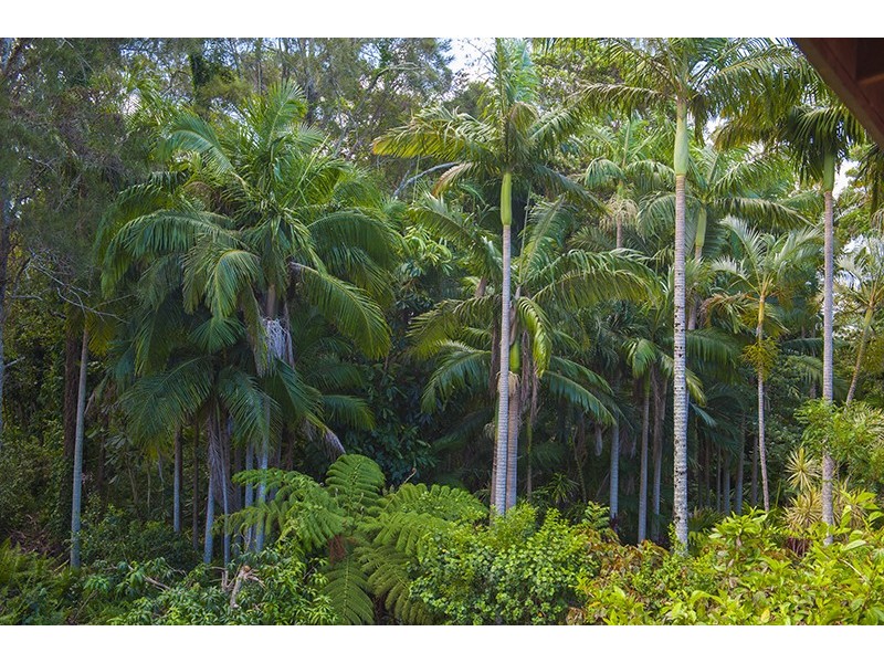 19 Wirree Drive, Ocean Shores NSW 2483