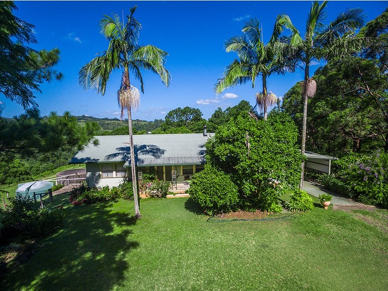 106  Arkinstall Road, Tuntable Creek NSW 2480