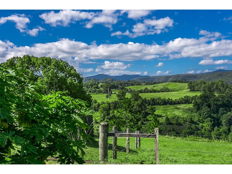 106  Arkinstall Road, Tuntable Creek NSW 2480