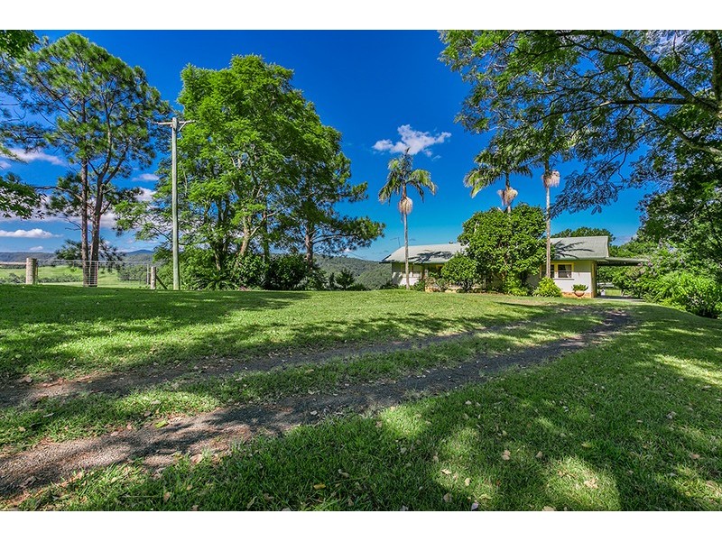 106  Arkinstall Road, Tuntable Creek NSW 2480
