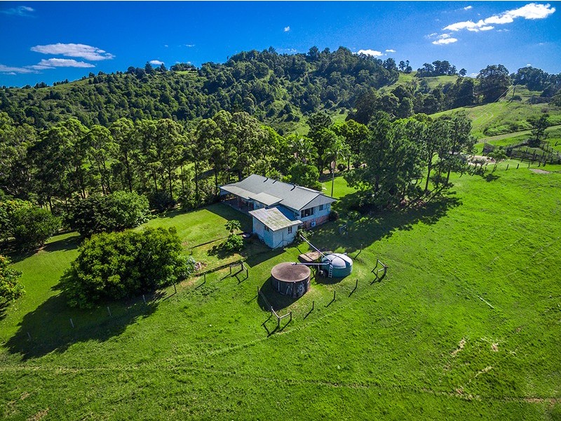 106  Arkinstall Road, Tuntable Creek NSW 2480