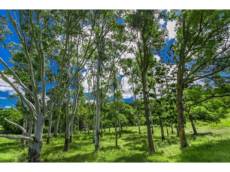 627 Myocum Road, Myocum NSW 2481
