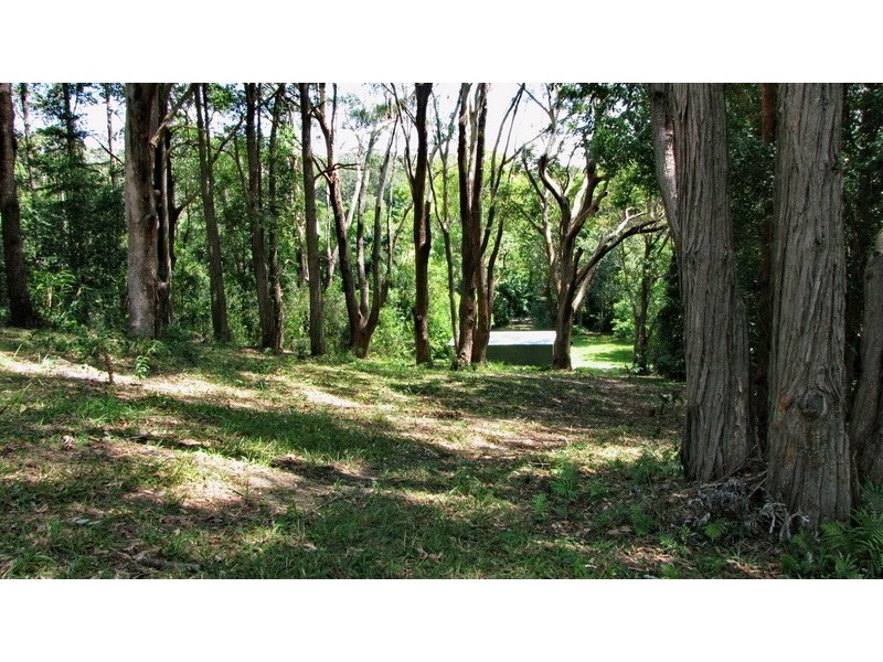 19 Orara Court, Byron Bay NSW 2481