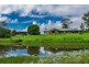 463 Tuntable Creek Road, Tuntable Creek NSW 2480