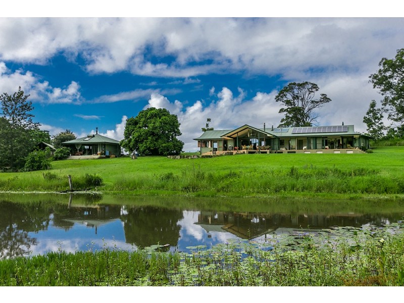 463 Tuntable Creek Road, Tuntable Creek NSW 2480