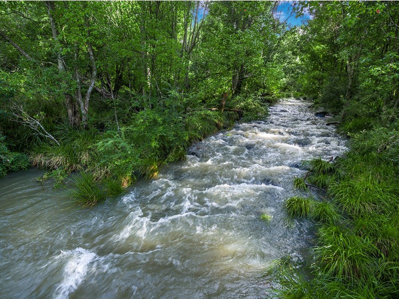 463 Tuntable Creek Road, Tuntable Creek NSW 2480