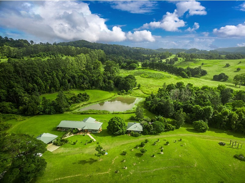 463 Tuntable Creek Road, Tuntable Creek NSW 2480