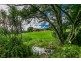 463 Tuntable Creek Road, Tuntable Creek NSW 2480