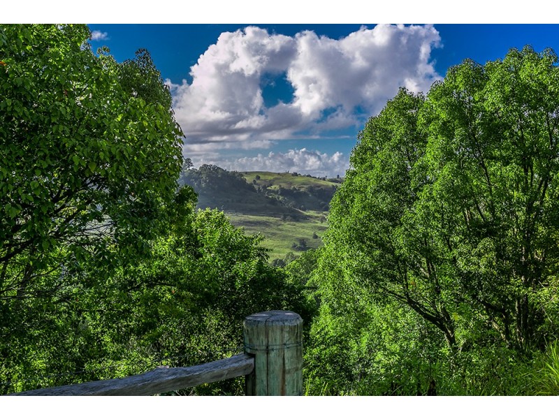 463 Tuntable Creek Road, Tuntable Creek NSW 2480