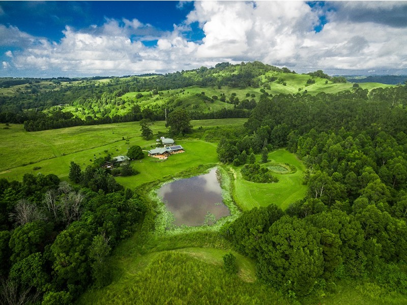 463 Tuntable Creek Road, Tuntable Creek NSW 2480