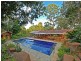 169  Cedar Road, Wilsons Creek NSW 2482