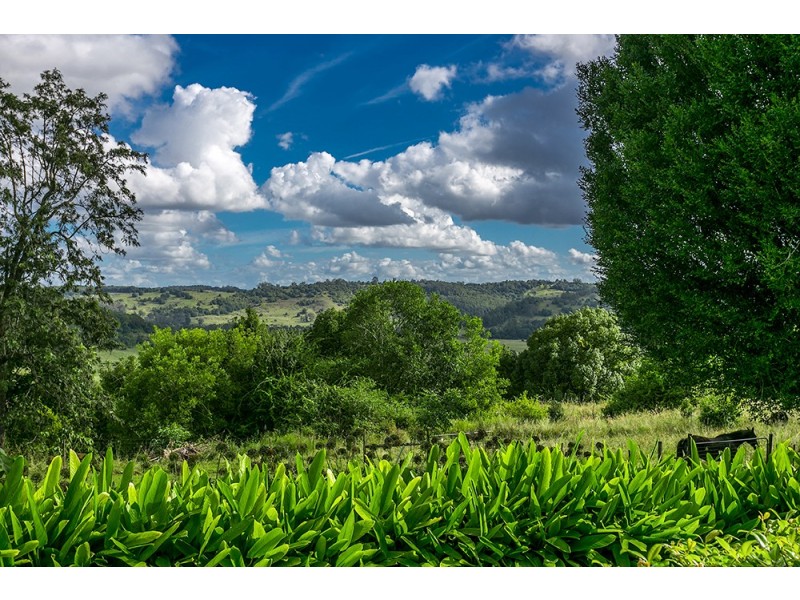 131 Currie Road, The Channon NSW 2480