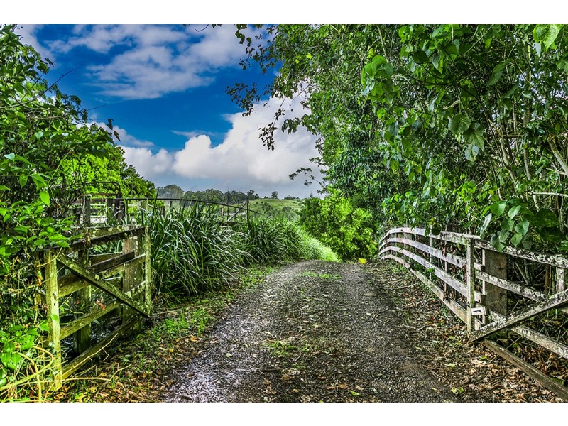 131 Currie Road, The Channon NSW 2480