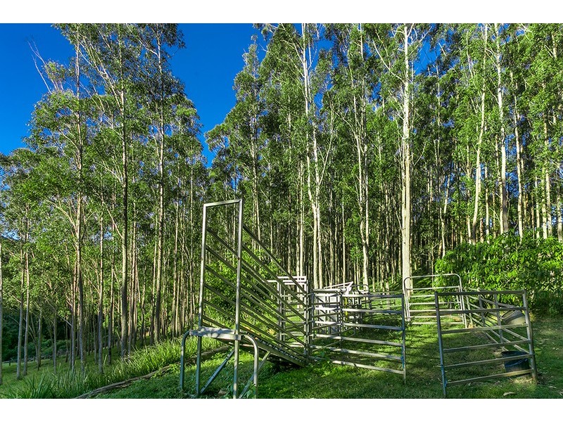 102 Eureka Road, Rosebank NSW 2480