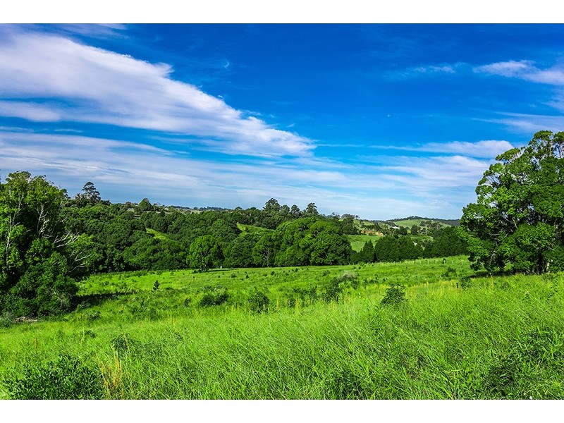 47A Cedarvale Road, Possum Creek NSW 2479