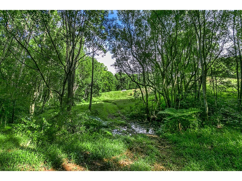 47A Cedarvale Road, Possum Creek NSW 2479