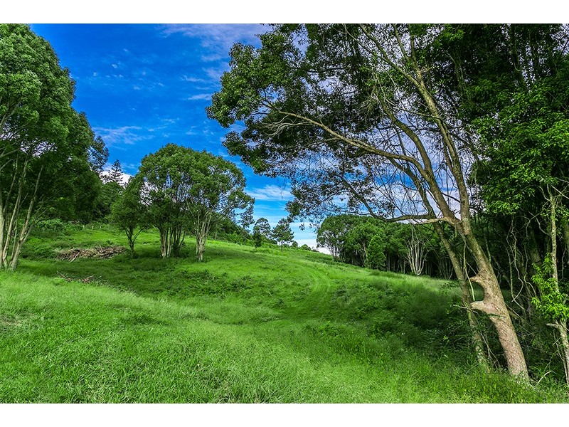 47A Cedarvale Road, Possum Creek NSW 2479