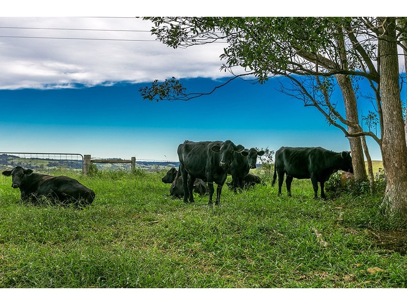 47A Cedarvale Road, Possum Creek NSW 2479