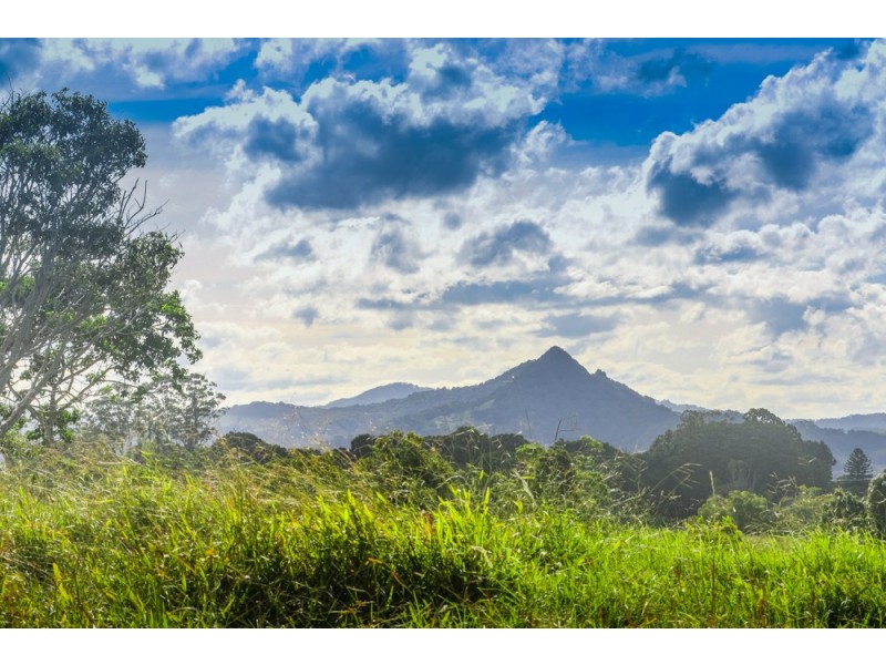 49 Mullumbimby Road, Myocum NSW 2481