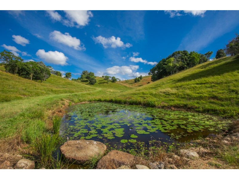 49 Mullumbimby Road, Myocum NSW 2481