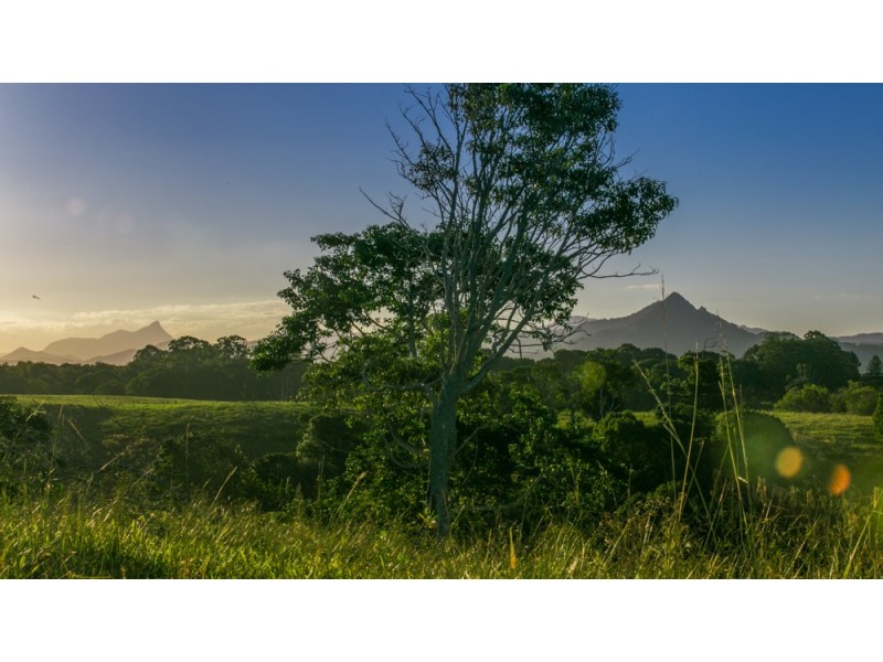 49 Mullumbimby Road, Myocum NSW 2481