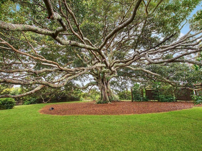 18 Citriadora, Byron Bay NSW 2481