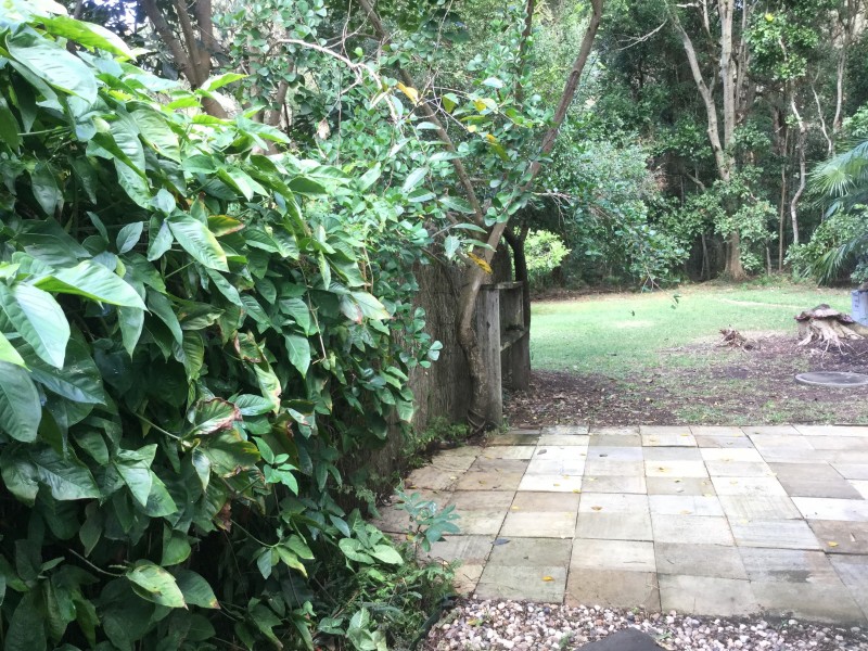 2/4 Lilli Pilli Drive, Byron Bay NSW 2481